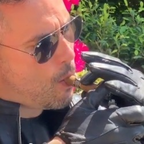 English Leather Master