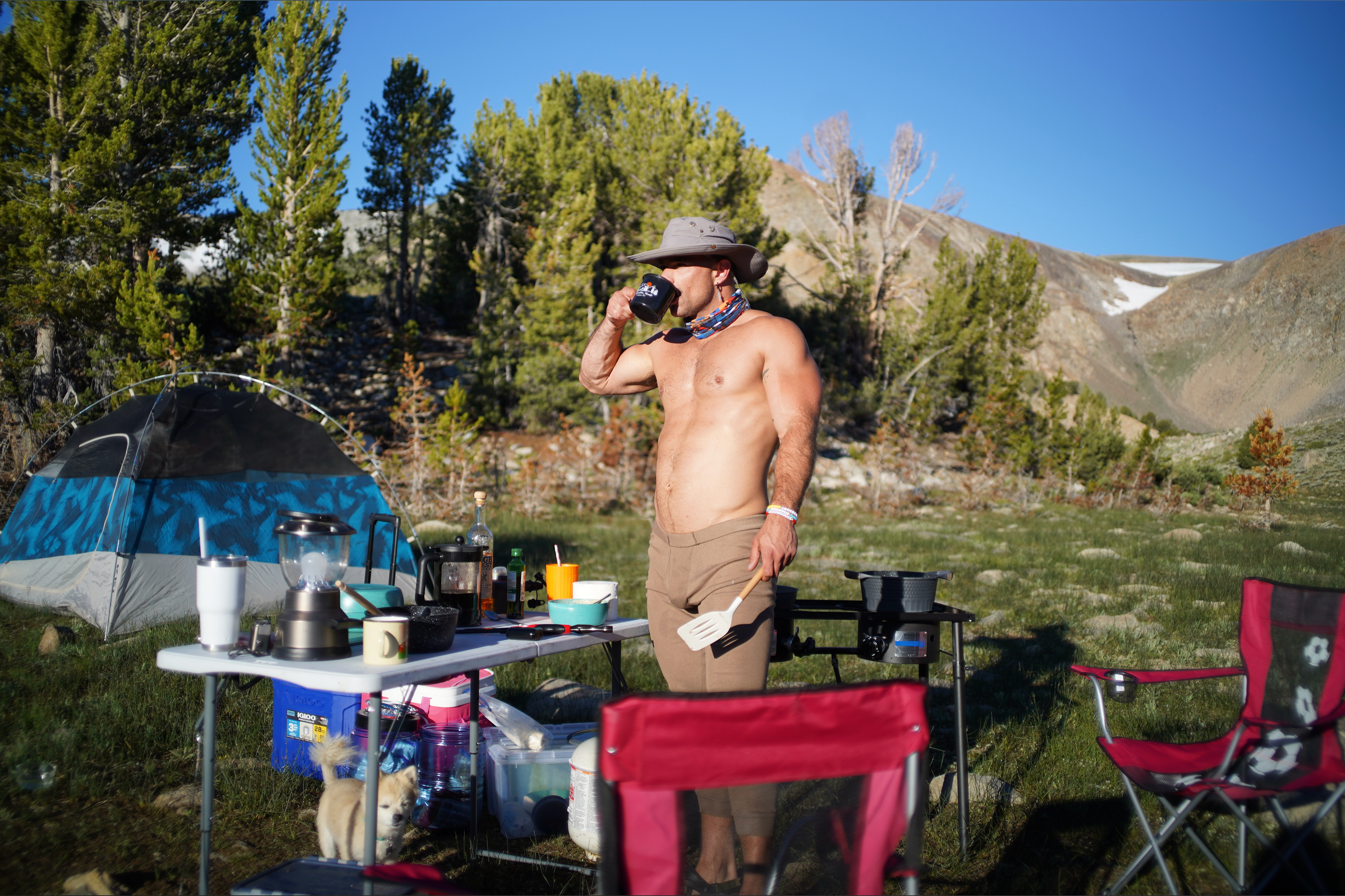 Patrick McDonald banner