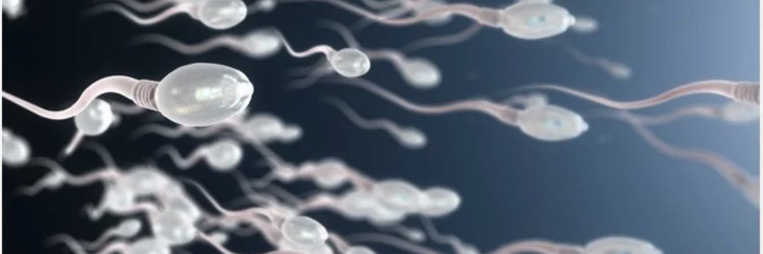 BAREBACK TOP PARIS banner